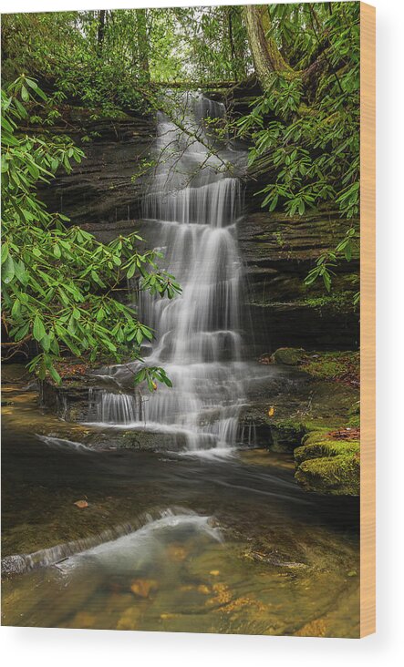 2017-01-15 Wood Print featuring the photograph Small waterfalls in the forest. by Ulrich Burkhalter