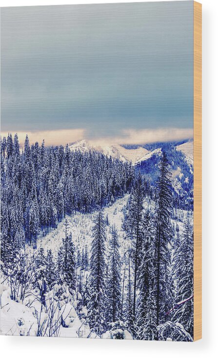 Idaho Wood Print featuring the photograph Snow Covered Mountains by Lester Plank