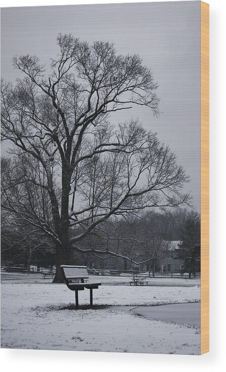 East Brunswick Wood Print featuring the photograph Snow in East Brunswick by Vadim Levin