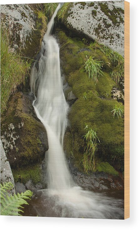 Waterfall Wood Print featuring the photograph Soft ribbons by Celine Pollard