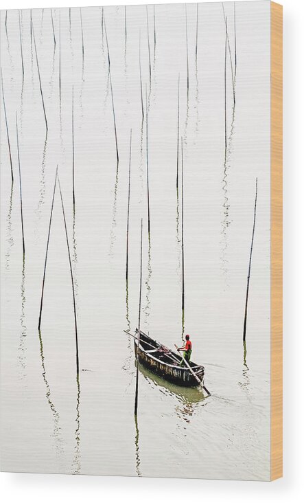 Asia Wood Print featuring the photograph Solitude by Usha Peddamatham