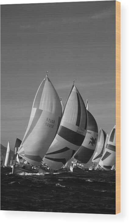 Sail Wood Print featuring the photograph Spinnaker Run by David Shuler