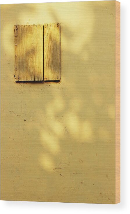 Minimal Wood Print featuring the photograph Spiritual Awakening by Prakash Ghai
