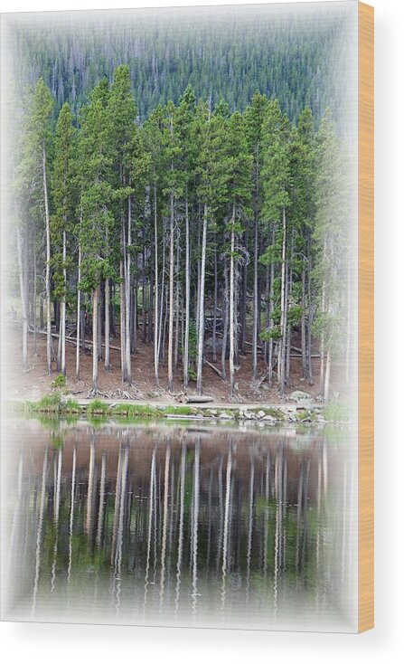 Sprague Lake Wood Print featuring the photograph Sprague Lake 03 by Pamela Critchlow