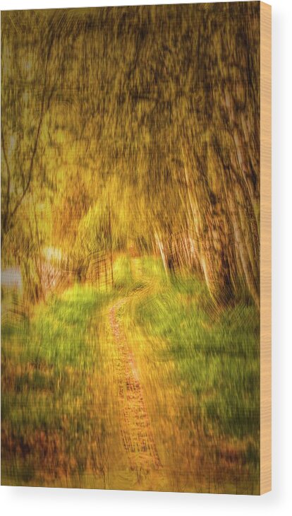 Path Wood Print featuring the digital art Spring 2017 #g3 by Leif Sohlman