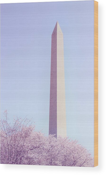 Washington Wood Print featuring the photograph Spring in D C by Iryna Goodall