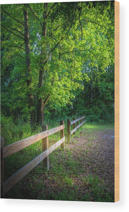 Edward Medard Park Wood Print featuring the photograph Spring Leaves by Marvin Spates