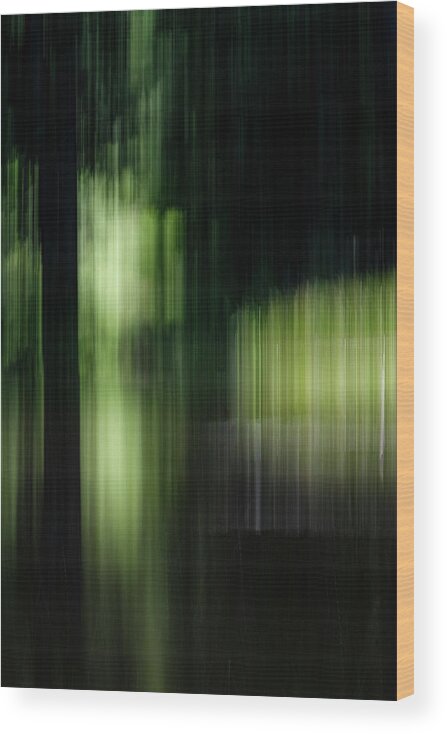 Dark Wood Print featuring the photograph Spring Shadows by Deborah Hughes