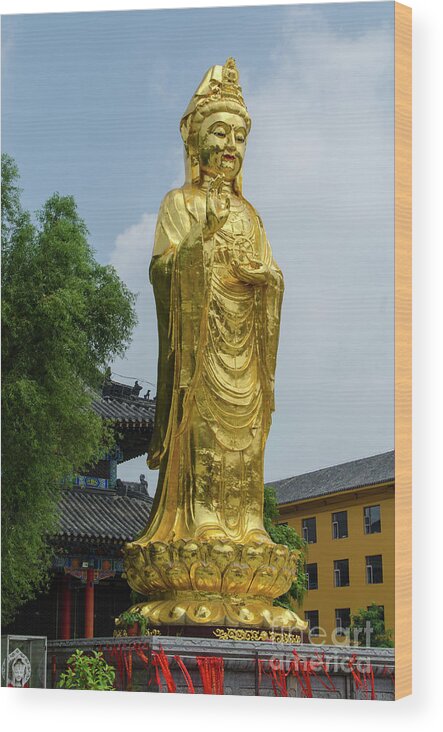 Standing Wood Print featuring the photograph Standing Budda at Mi Tuo Shi by Paul Martin