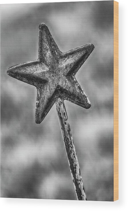 Star Wood Print featuring the photograph Make a Wish by Stephen Stookey