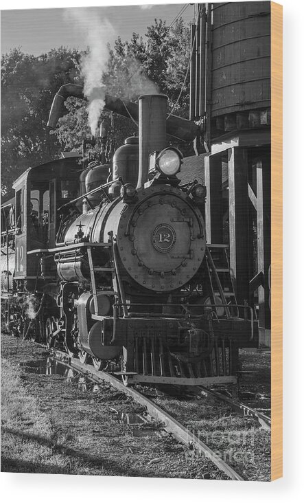 Train Wood Print featuring the photograph Steam Train Engine #12 by Tamara Becker