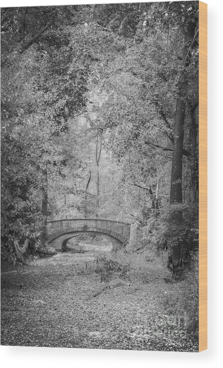 Stone Bridge Wood Print featuring the photograph Stone Bridge In The Woods by Tamara Becker