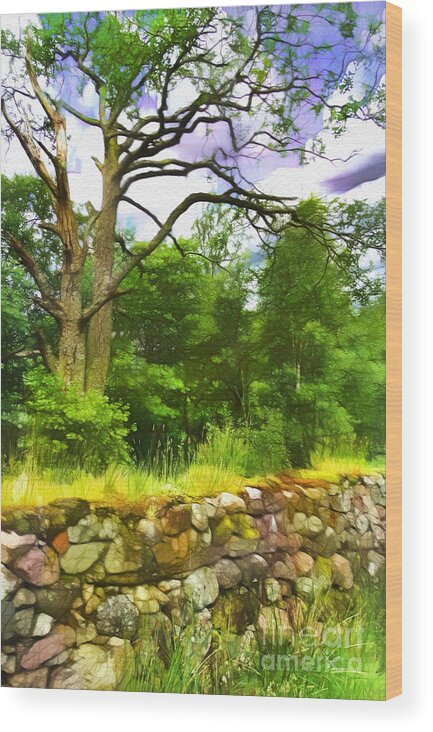 Stone Wood Print featuring the photograph Stone Wall in Glencoe by Judi Bagwell
