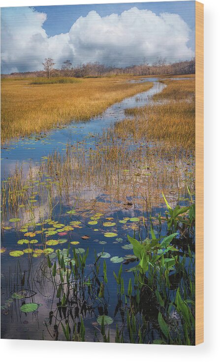 Clouds Wood Print featuring the photograph Stream Through the Everglades by Debra and Dave Vanderlaan