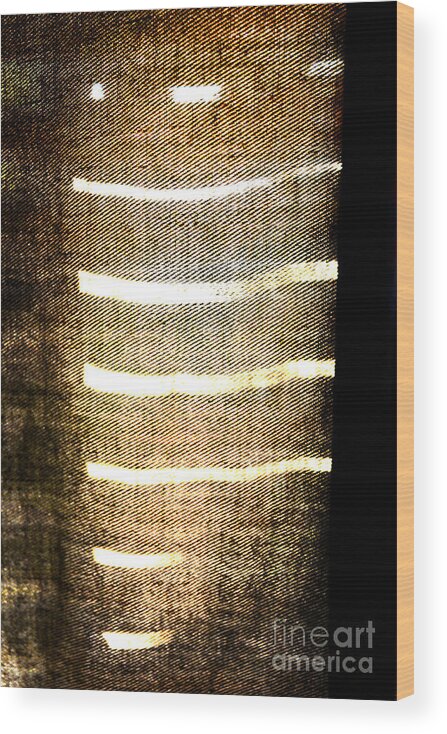 Abstract Wood Print featuring the photograph Stripes and Texture by Todd Blanchard