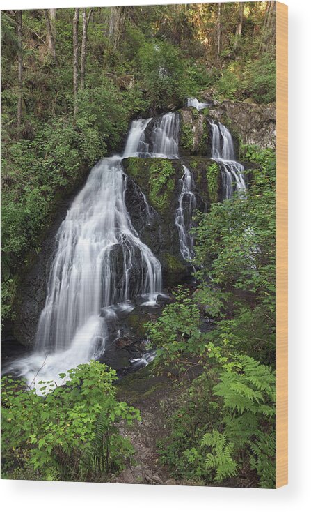 Waterfalls Wood Print featuring the photograph Summer at Steelhead Falls by Michael Russell