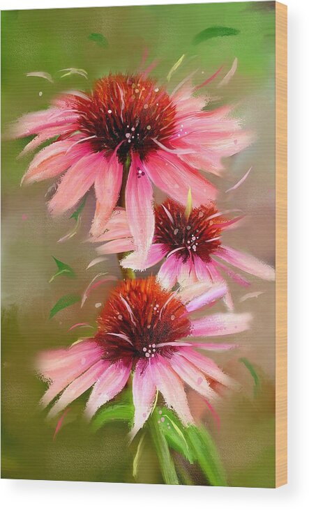Pink Cone Flowers Wood Print featuring the photograph Summer Trio by Mary Timman