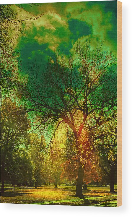 Green Wood Print featuring the photograph Sun Daggers by Kathy Besthorn
