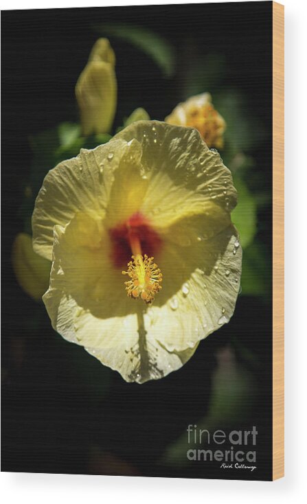 Reid Callaway Sun Soaked Wood Print featuring the photograph Sun Soaked Yellow Hibiscus Flower Kauai Hawaii Art by Reid Callaway