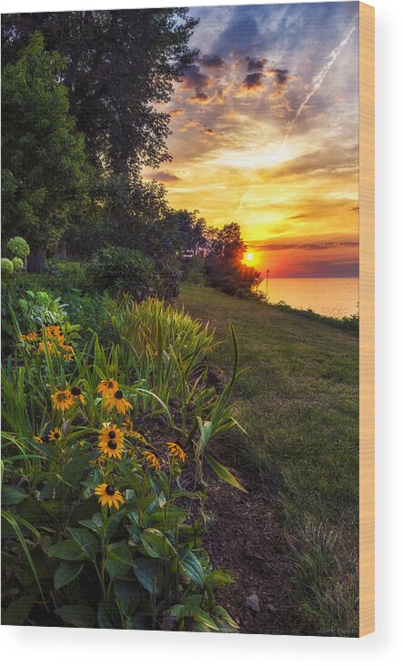 Sunset Wood Print featuring the photograph Sundown by Mark Papke