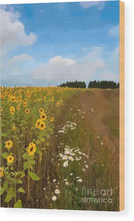 Field Landscape Art Sunflowers Uk Scenic Portrait Wood Print featuring the photograph Sunflowers by Andrew Michael