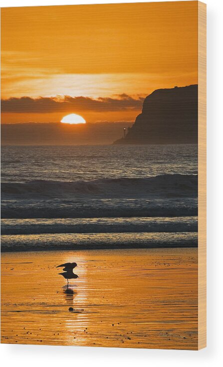 San Diego Wood Print featuring the photograph Sunny Delight by Dan McGeorge