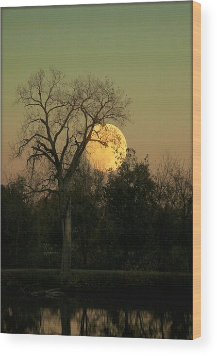 Supermoon Wood Print featuring the photograph Under the Supermoon by Chris Berry