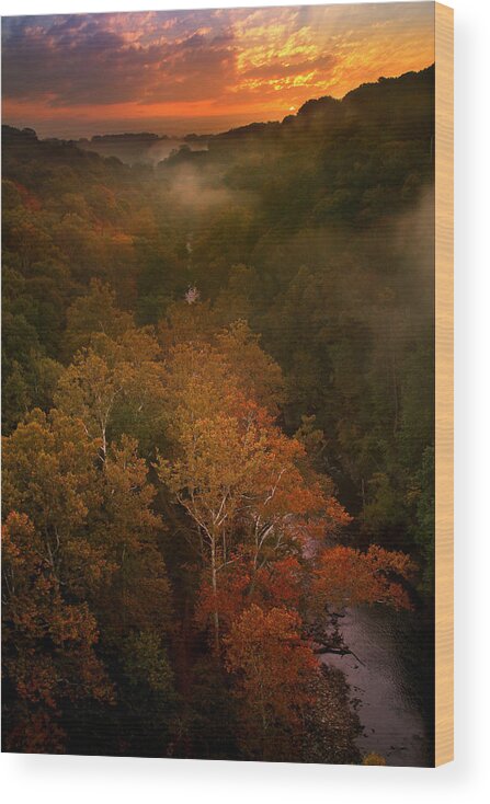 Autumn Wood Print featuring the photograph Heaven on Earth by Rob Blair