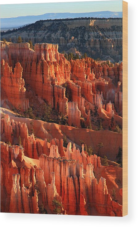 Bryce Wood Print featuring the photograph Sunrise on the Hoodoos of Bryce Canyon National Park by Pierre Leclerc Photography