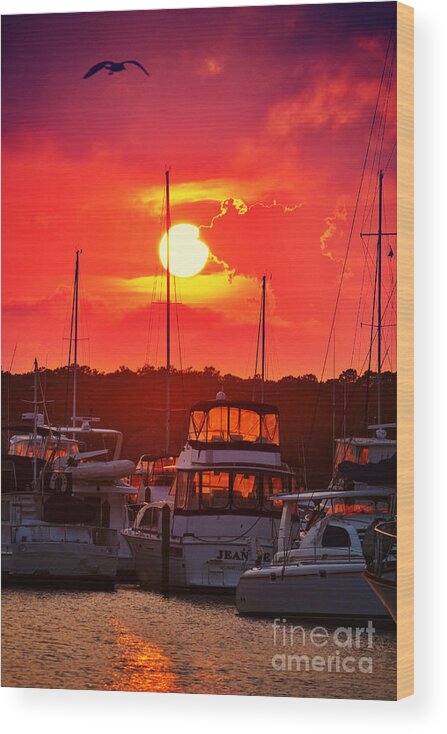 Southport Wood Print featuring the photograph Sunset at Southport Marina by Kelly Nowak