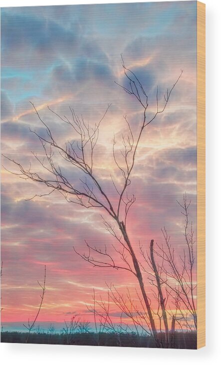 Sunset Wood Print featuring the photograph Sunset of Wanting by Beth Venner