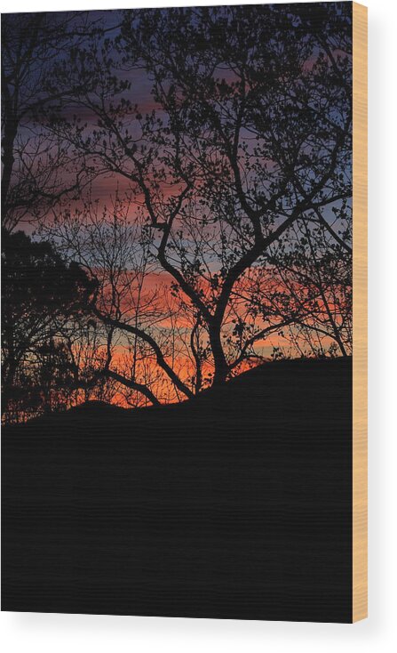 Silhouette Wood Print featuring the photograph Sunset by Tammy Schneider