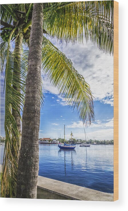 Boats Wood Print featuring the photograph Sunshine Sailing by Debra and Dave Vanderlaan