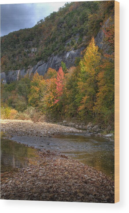 Fall Color Wood Print featuring the photograph Sweetgums at Steel Creek by Michael Dougherty