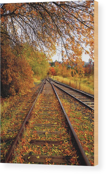 Switching To Autumn Wood Print featuring the photograph Switching to Autumn by David Patterson