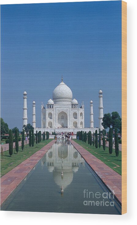 Agra Wood Print featuring the photograph Taj Mahal View by Gloria & Richard Maschmeyer - Printscapes