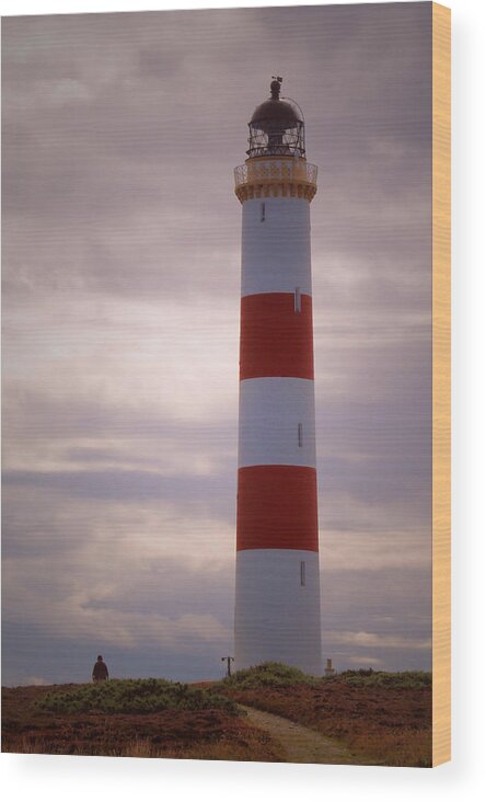 Lighthouse Wood Print featuring the photograph Tarbat Ness by Steve Watson