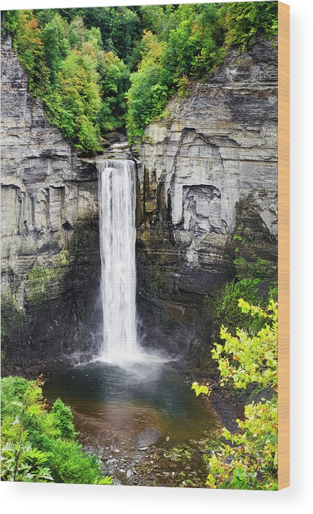 Taughannock Falls Wood Print featuring the photograph Taughannock Falls View from the Top by Christina Rollo