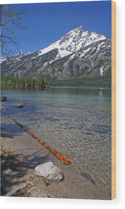 Grand Tetons Wood Print featuring the photograph Teewinot by Heather Coen