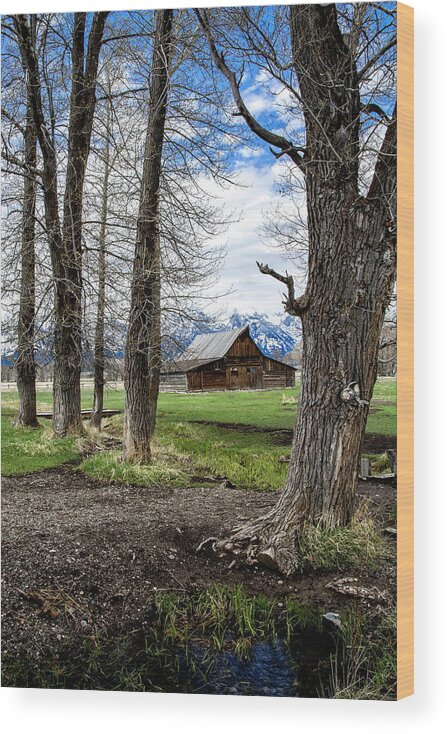 Tetons Wood Print featuring the photograph Moulton Barn on Mormon Row by Scott Read