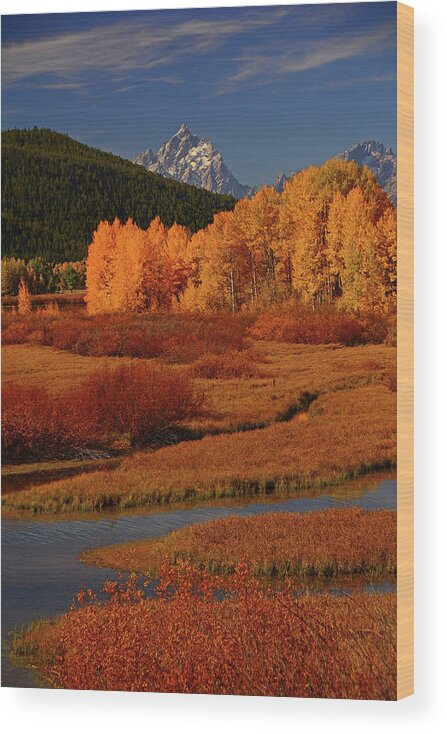 The Cathedral Group From North Of Oxbow Bend Wood Print featuring the photograph The Cathedral Group from North of Oxbow Bend by Raymond Salani III