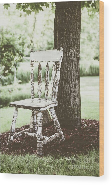Old Wood Print featuring the photograph The Chair and the Tree by Chellie Bock