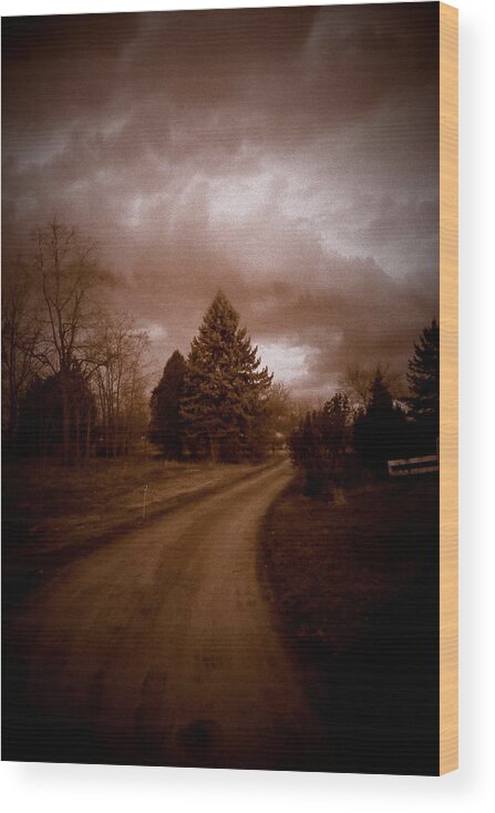Lomo Wood Print featuring the photograph The Driveway by Mark Salamon