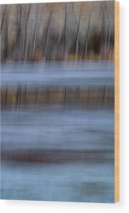 Winter Wood Print featuring the photograph The Edge Of Winter by Deborah Hughes