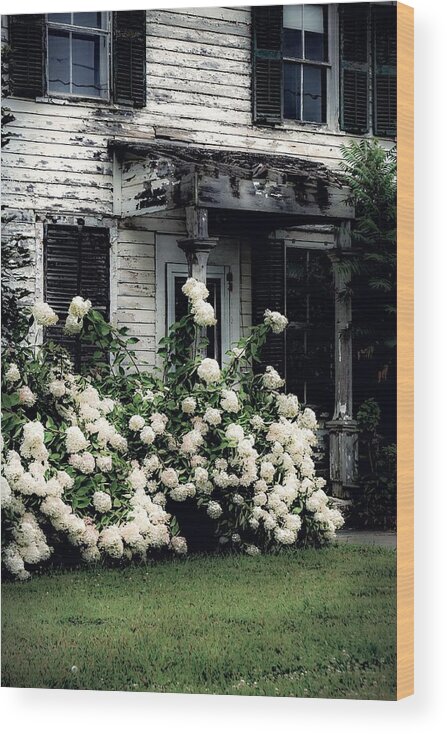  Wood Print featuring the photograph The Hydrangeas Are In Bloom by Kendall McKernon