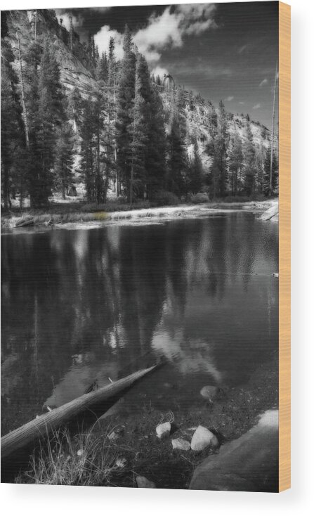 Yosemite National Park Wood Print featuring the photograph The Lengths That I Would Go To by Laurie Search