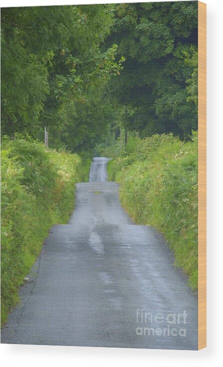 Road Wood Print featuring the photograph The long and winding road by Joe Cashin
