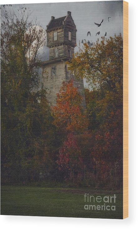 (bird Or Birds) Wood Print featuring the photograph The Mysterious Oakhurst Water Tower by Debra Fedchin