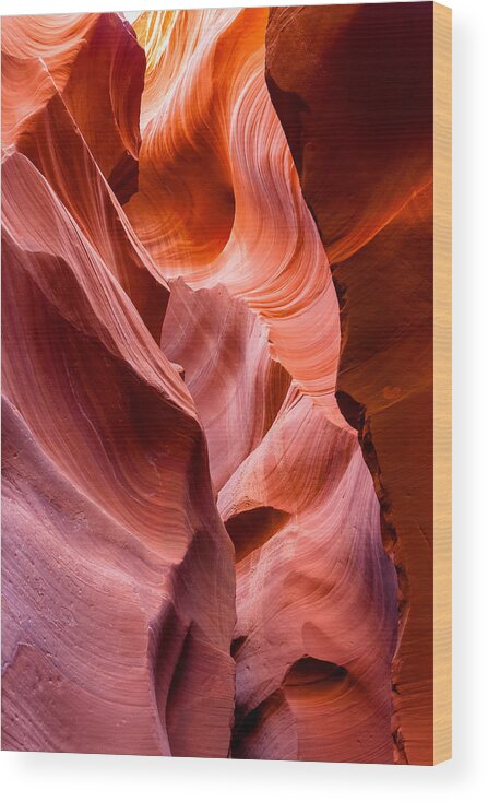 Landscape Wood Print featuring the photograph The Natural Sculpture 8 by Jonathan Nguyen