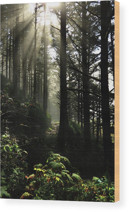 Inspirational Wood Print featuring the photograph The Path Back Home by James Eddy